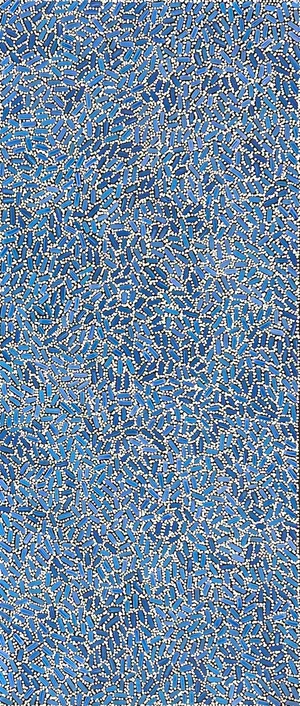 Warlukurlangu Jukurrpa &#8211; Fire Country Dreaming