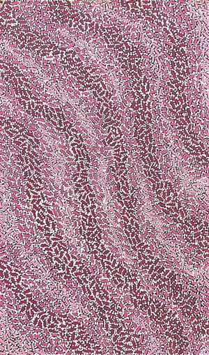 Warlukurlangu Jukurrpa &#8211; Fire Country Dreaming