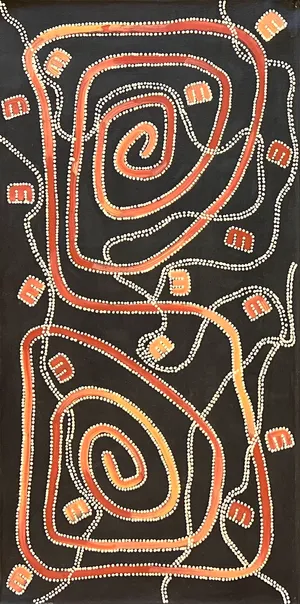Janganpa Jukurrpa &#8211; Brushtail Possum Dreaming